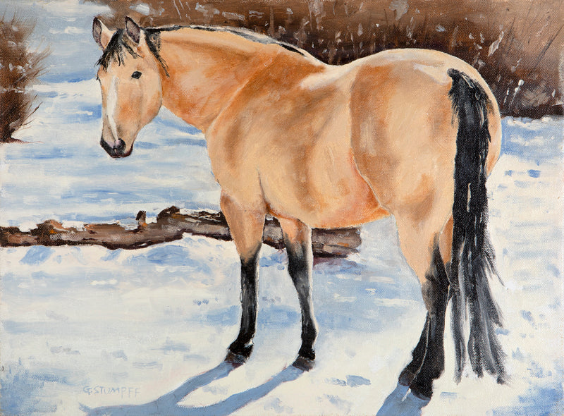 Buckskin Horse in Snow