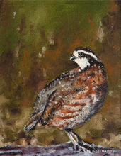Load image into Gallery viewer, Bob White Quail
