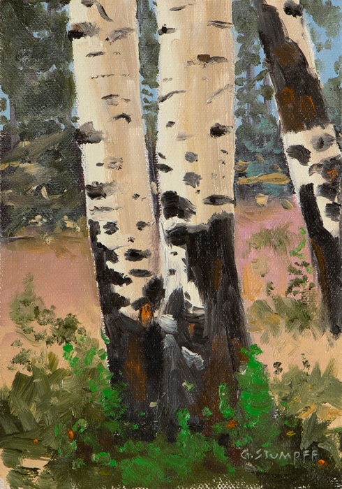 Aspens with Green