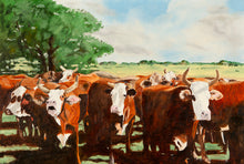 Load image into Gallery viewer, Cows
