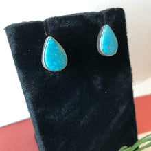 Load image into Gallery viewer, Raindrop Earrings
